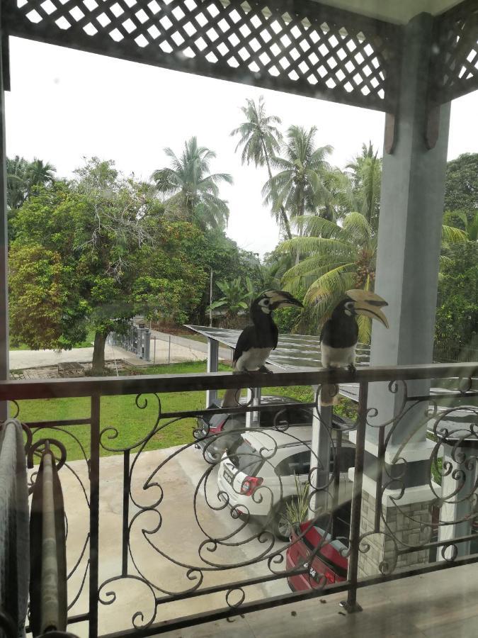 Darney'S Homestay Kg Bangau Tanjung Temerloh Exteriör bild